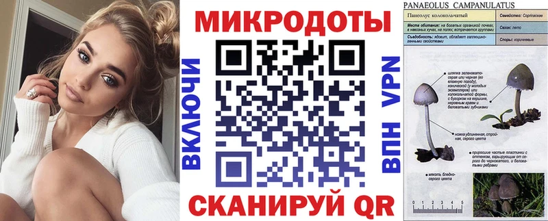 Псилоцибиновые грибы Psilocybe  Купить  Щучье 